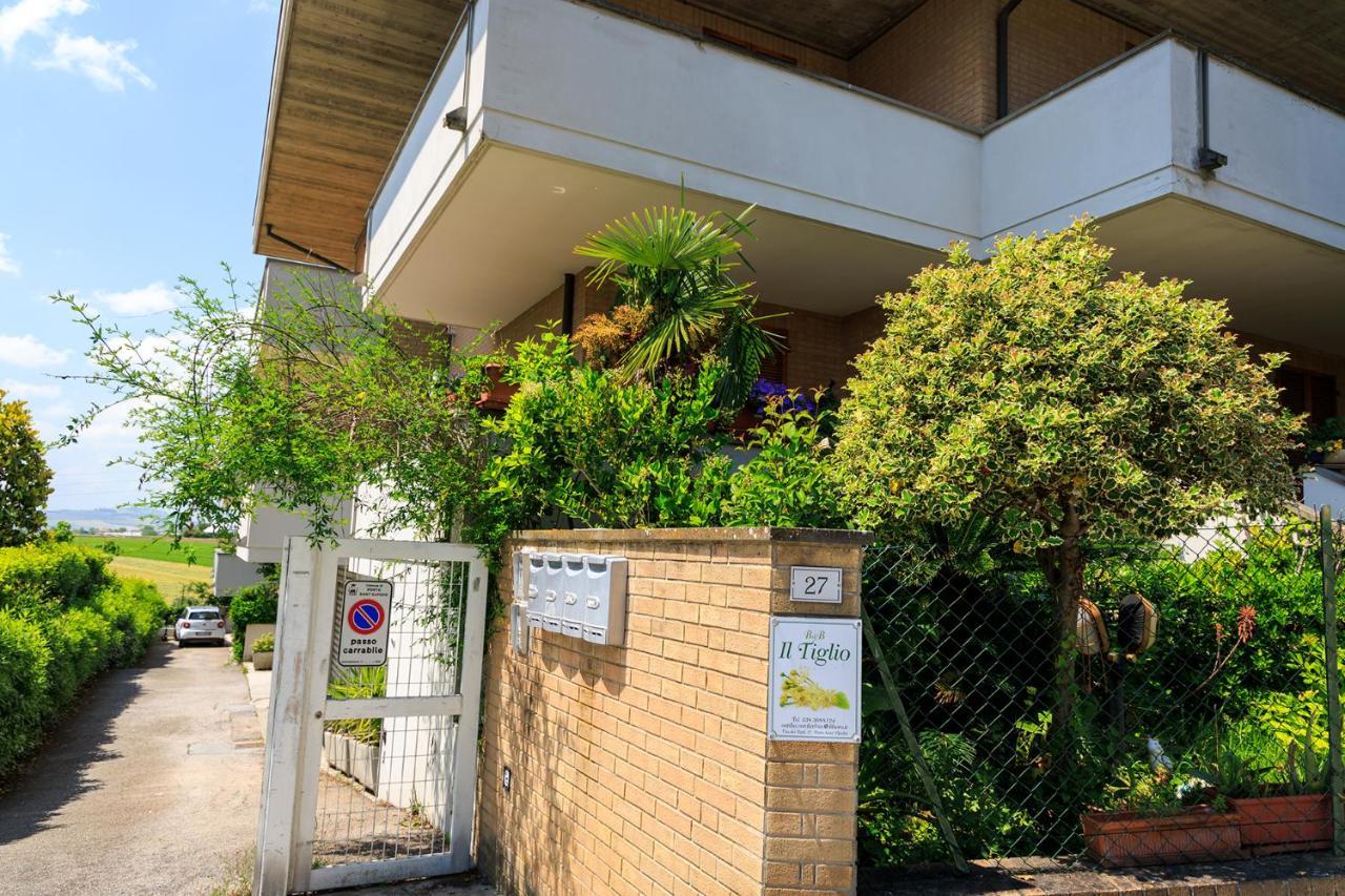 B&B Il Tiglio Porto SantʼElpidio Kültér fotó